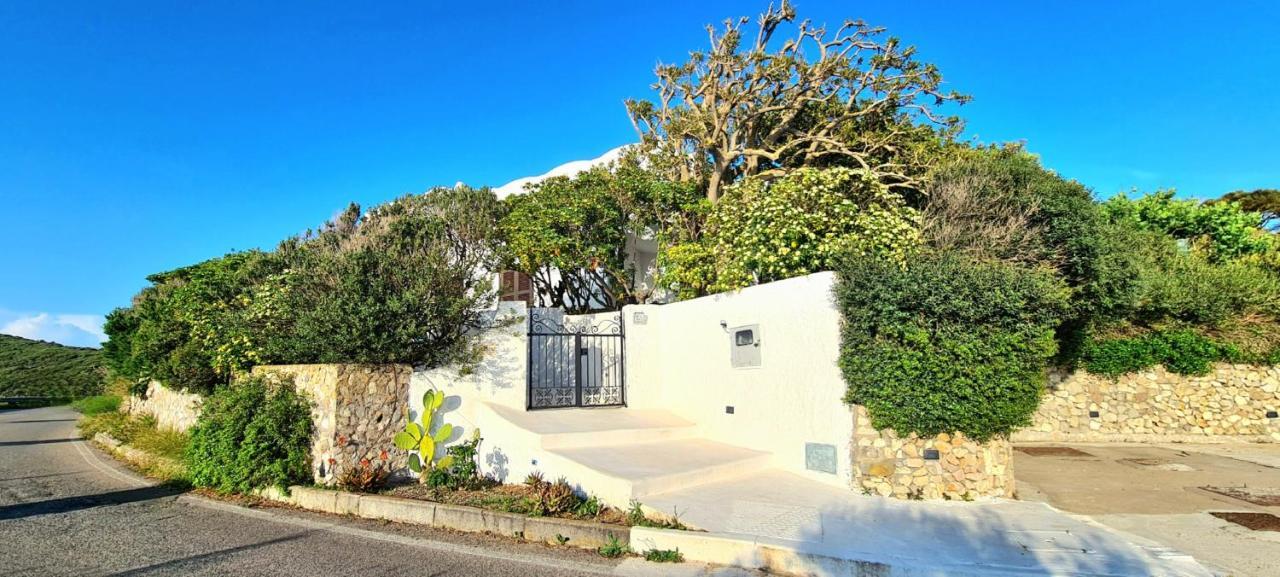 Guest House Villa Il Gabbiano Ponza Buitenkant foto