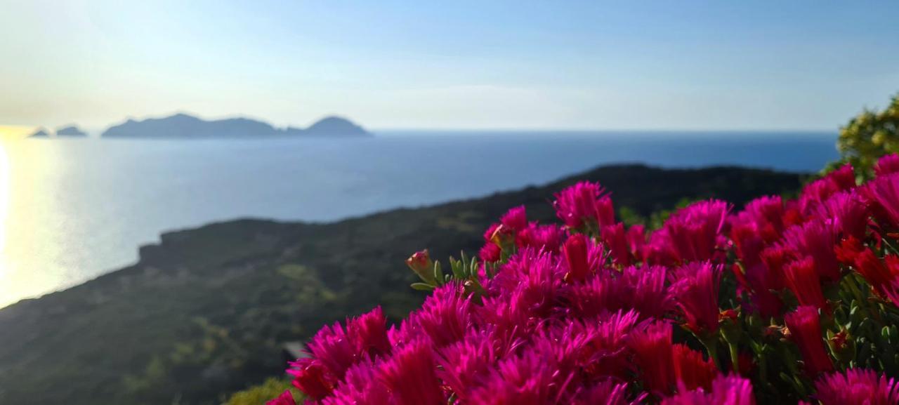 Guest House Villa Il Gabbiano Ponza Buitenkant foto