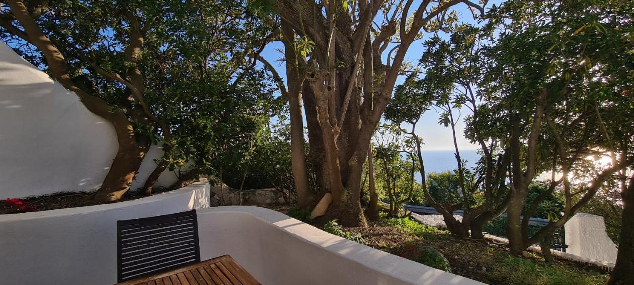 Guest House Villa Il Gabbiano Ponza Buitenkant foto